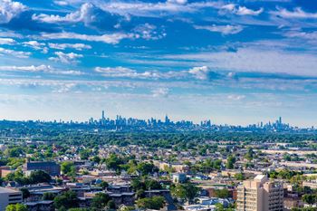 A view of the chicago skyline